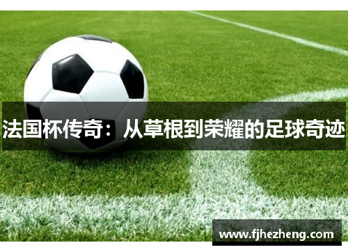 法国杯传奇：从草根到荣耀的足球奇迹