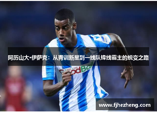 阿历山大·伊萨克:从青训新星到一线队锋线霸主的蜕变之路 阿历山大·伊萨克:从青训新星到一线队锋线霸主的蜕变之路