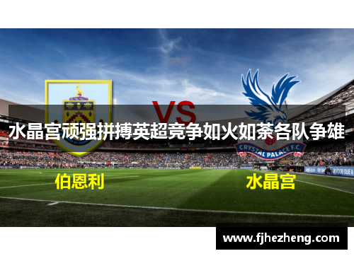 水晶宫顽强拼搏英超竞争如火如荼各队争雄 水晶宫顽强拼搏英超竞争如火如荼各队争雄